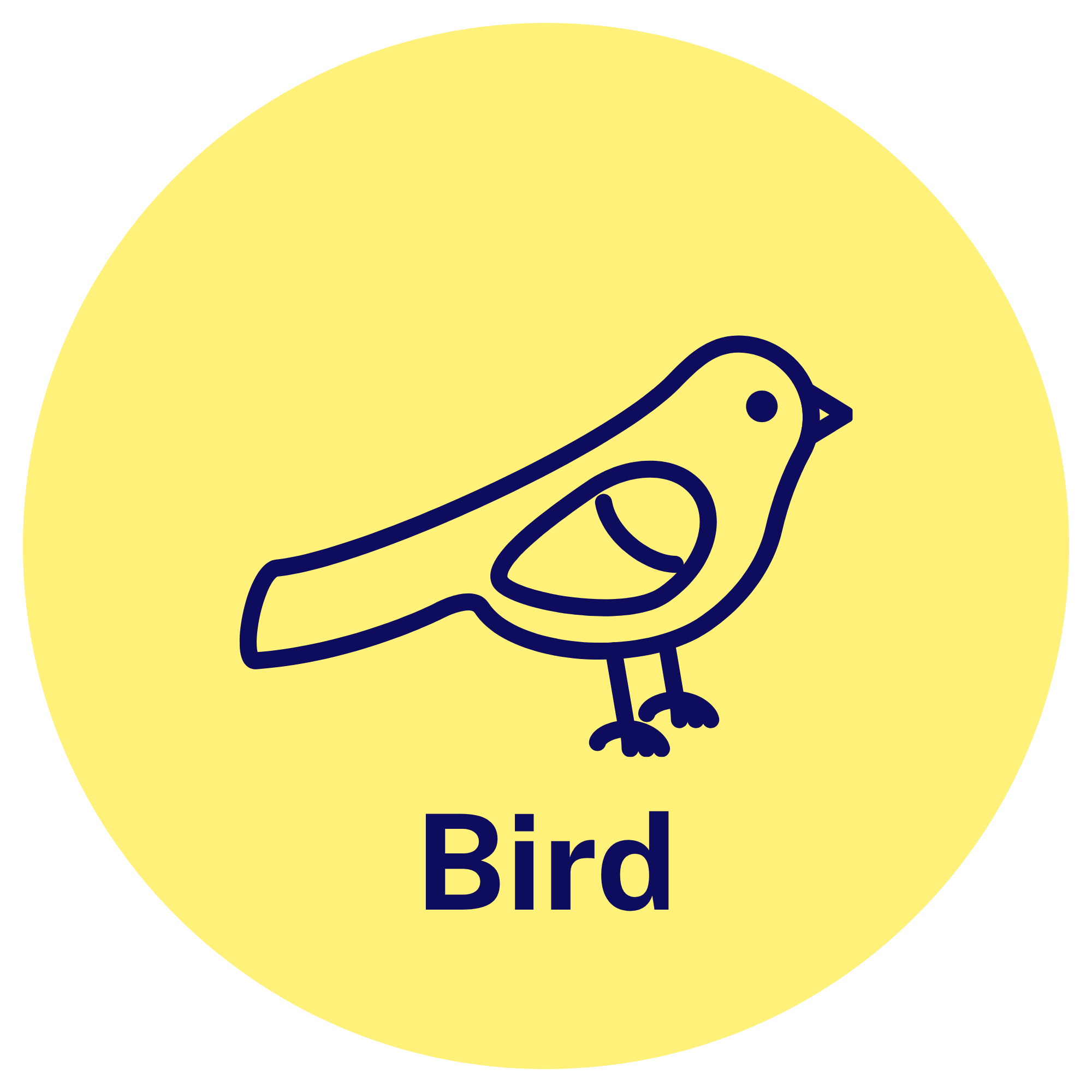 bird category