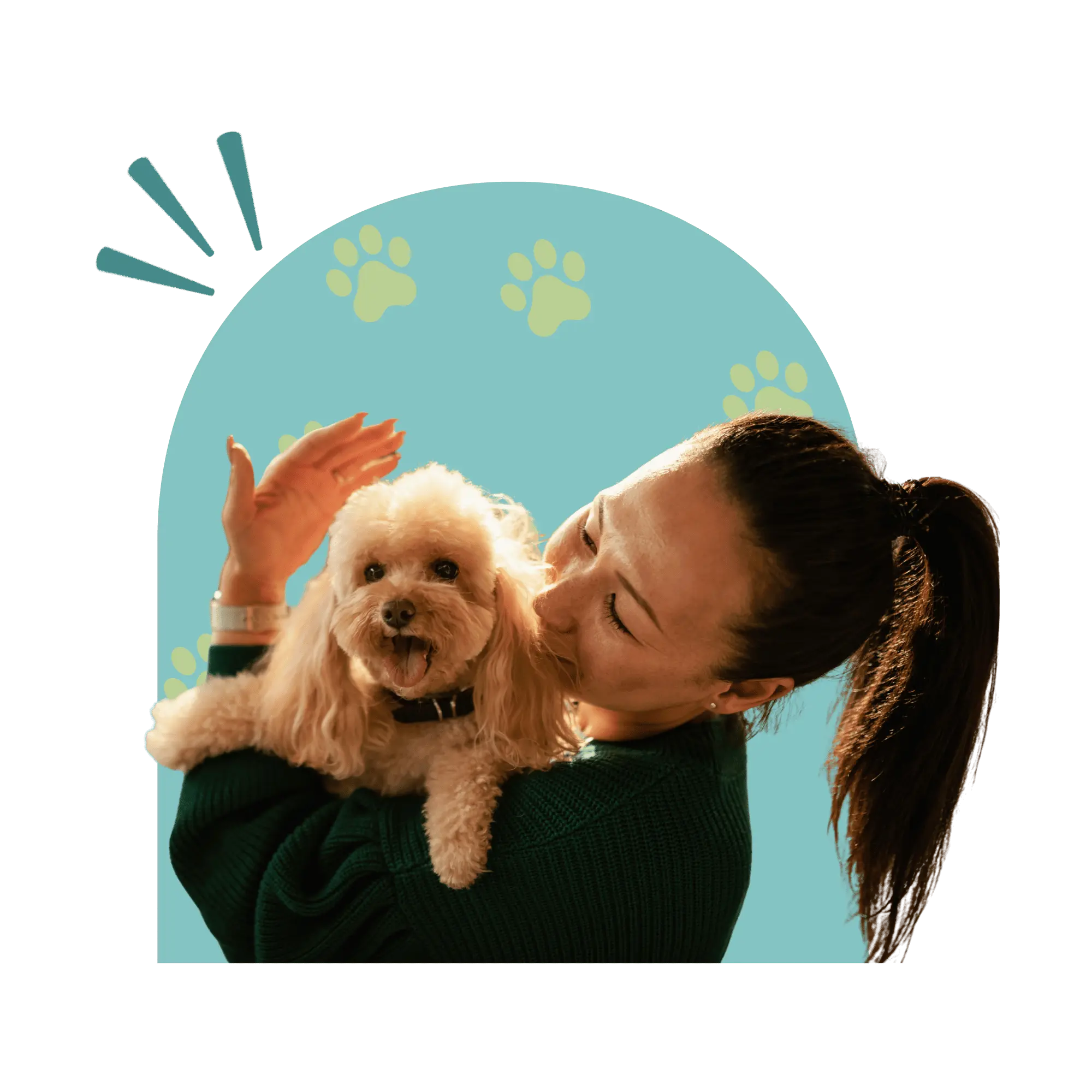 about nutripaw pet express