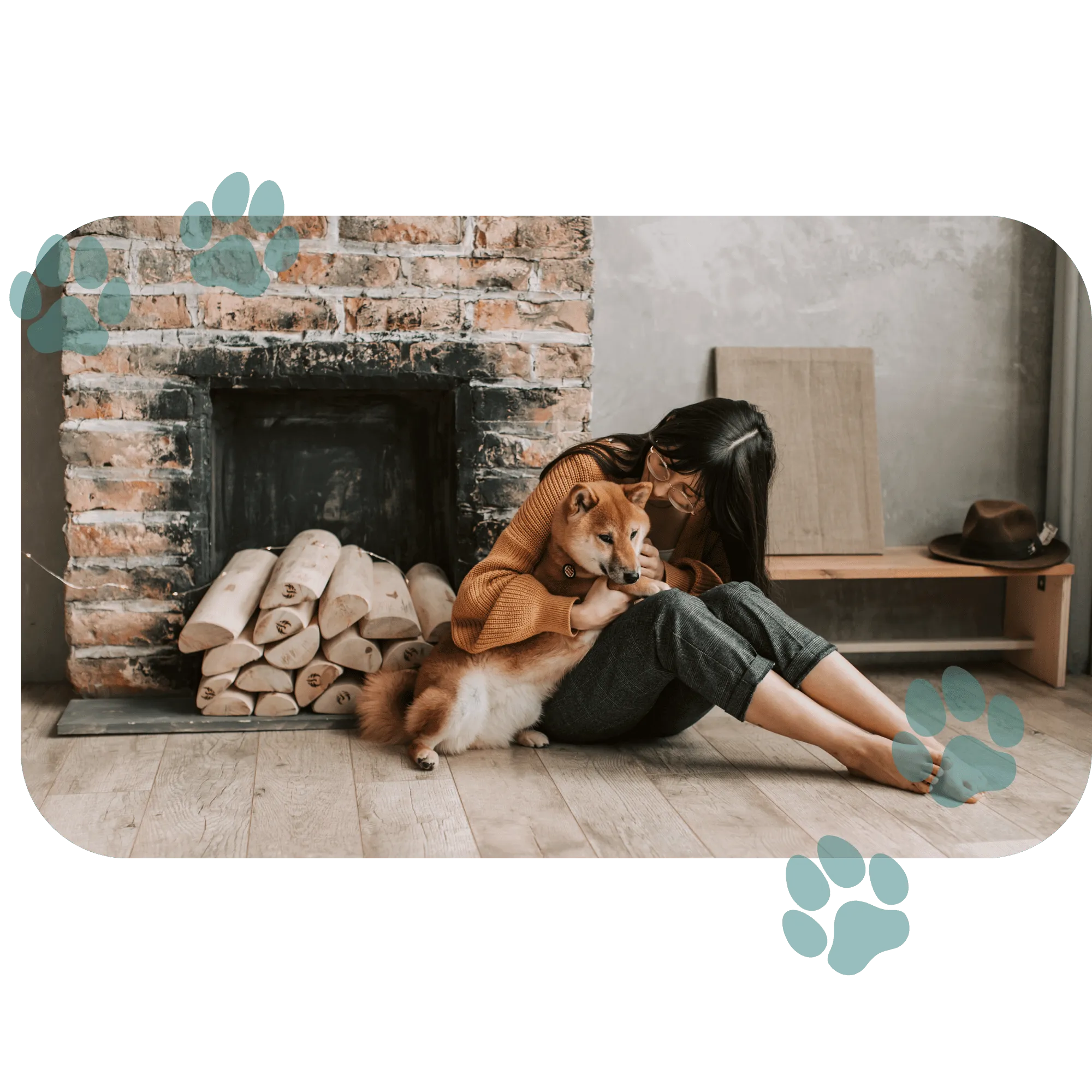 dog and human bonding