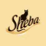 sheba